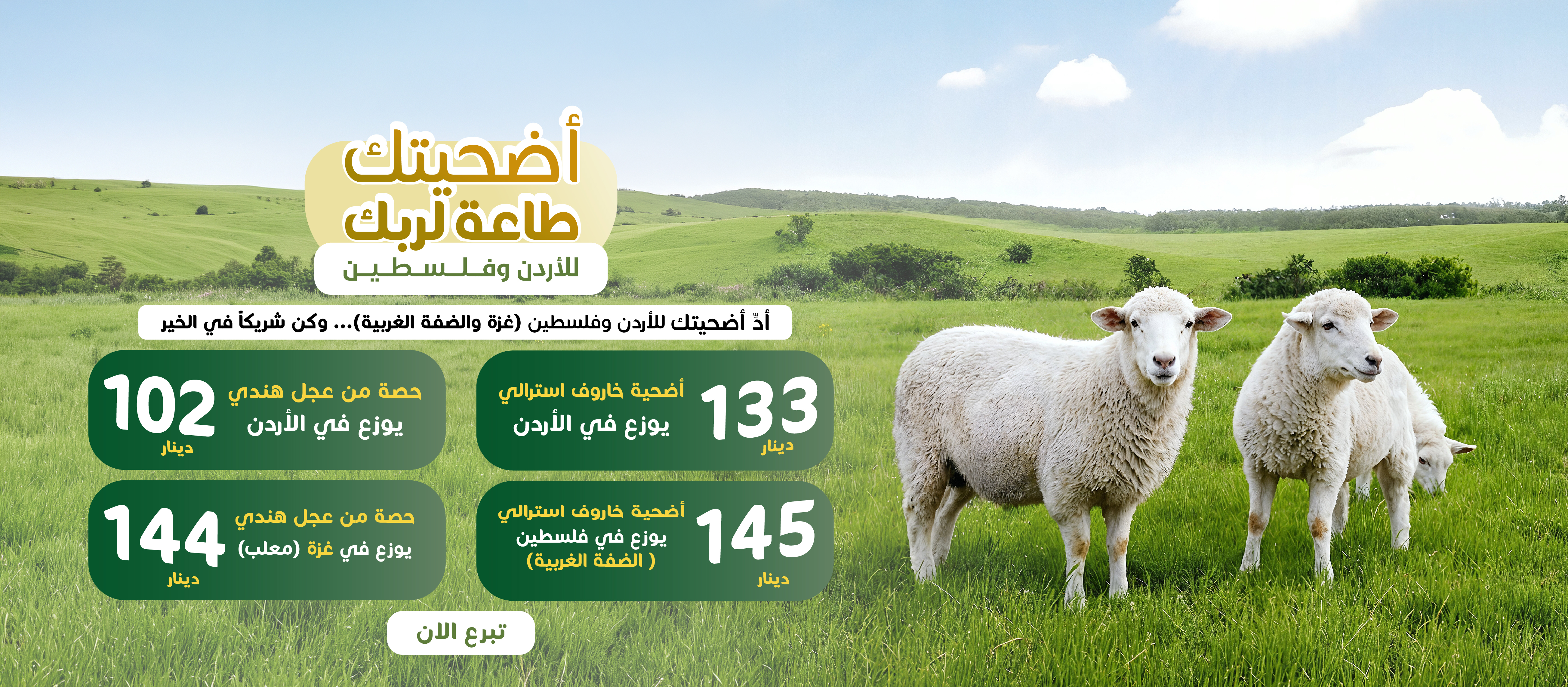 سلايدر_(2)